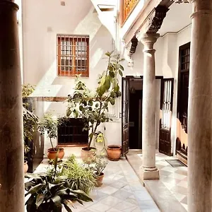 Charming, Spacious Albayzin Apartamento Granada